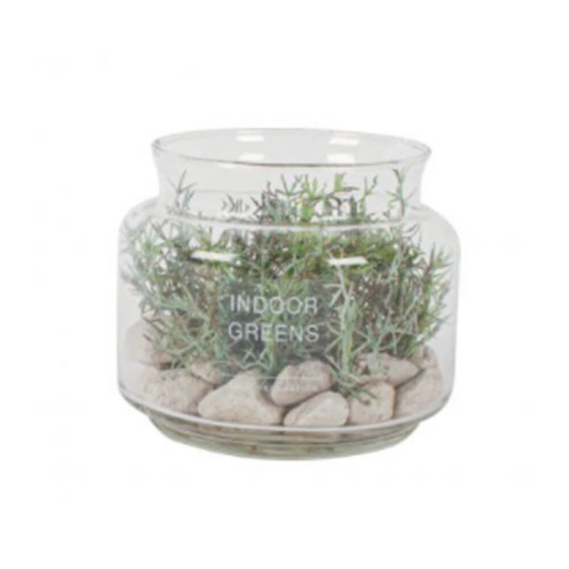 Bane fausse terrarium succulent