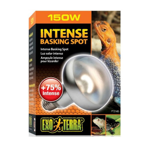 Exo Terra Intense Basking Spot Lamp