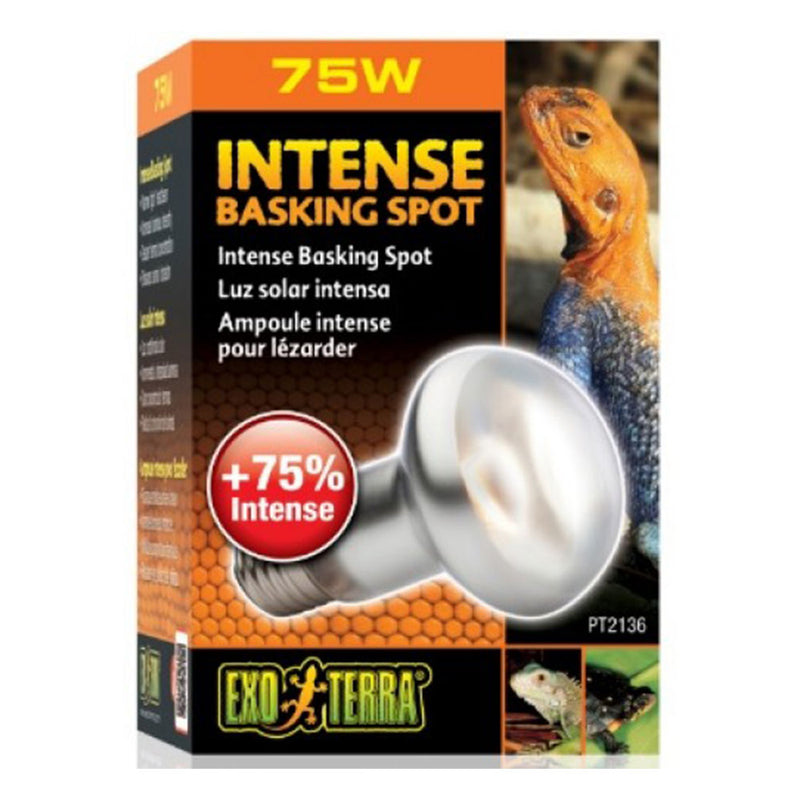 Exo Terra Intense Basking Spot Lampe