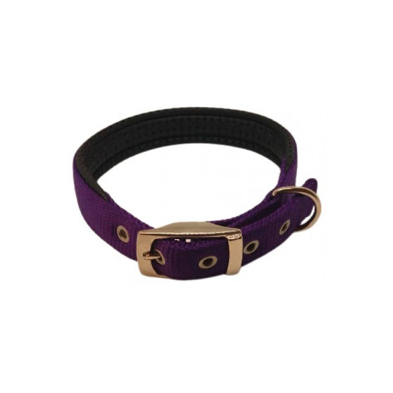 Nylon Padded Collar (Purple)