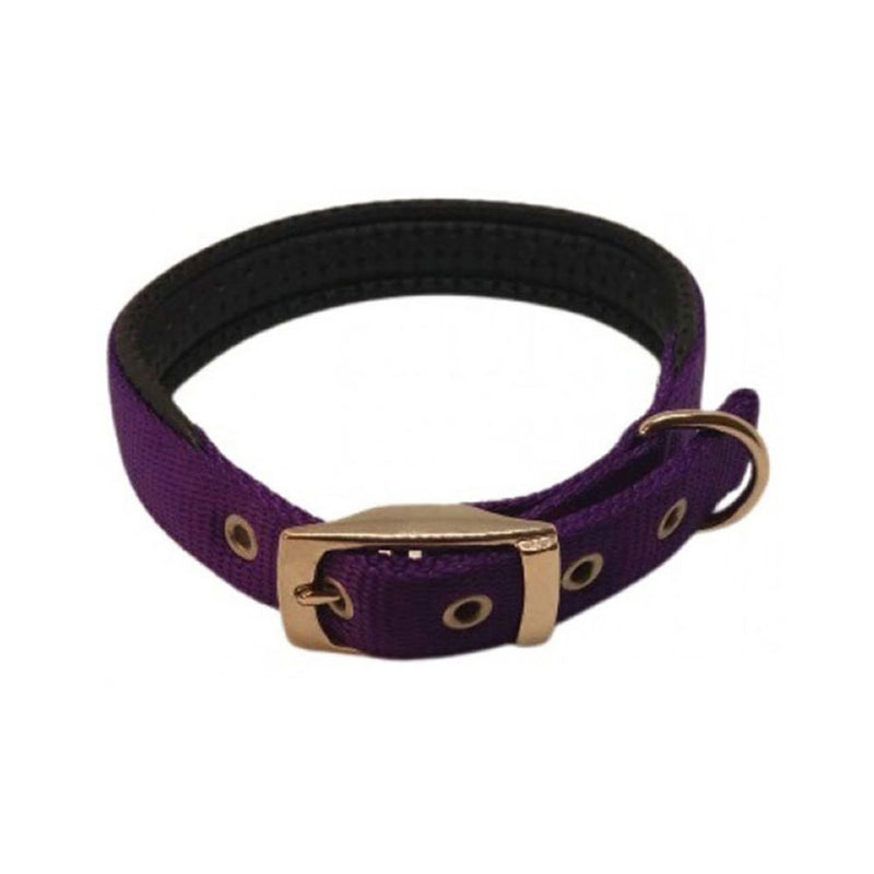 Nylon Padded Collar (Purple)