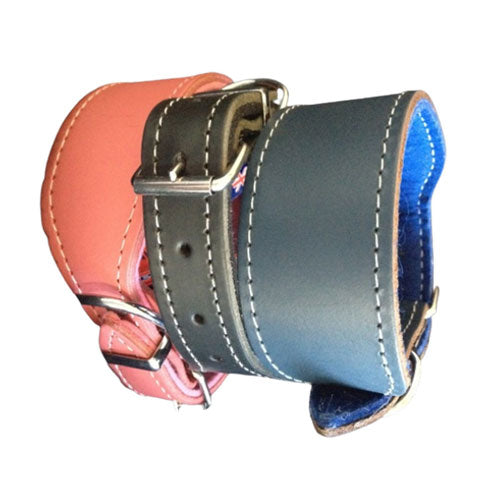 Pet Whippet Collar 40cm