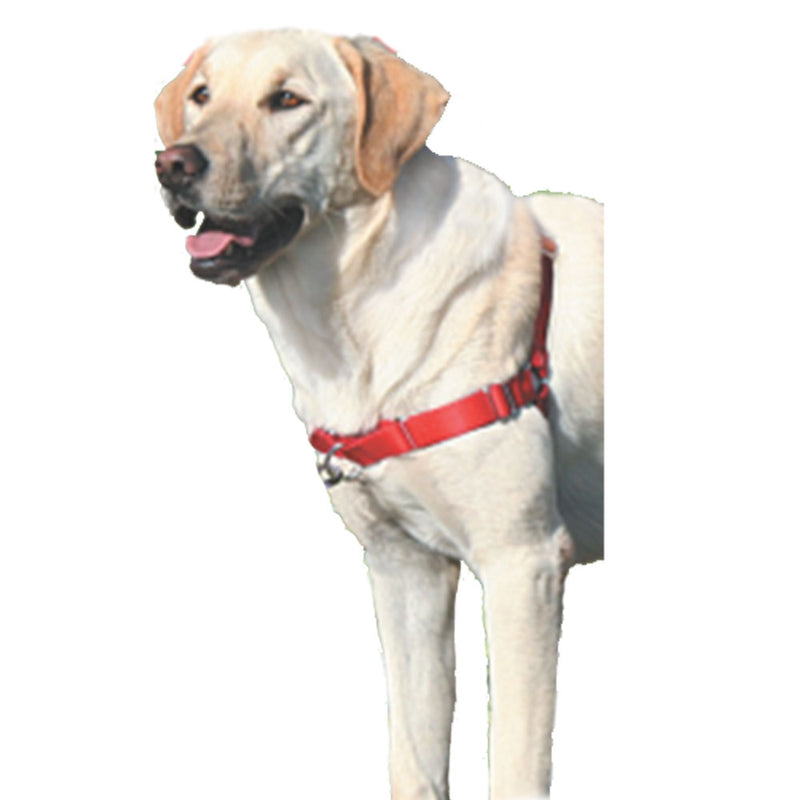 Zachte leasder Easy Walk Dog Harness