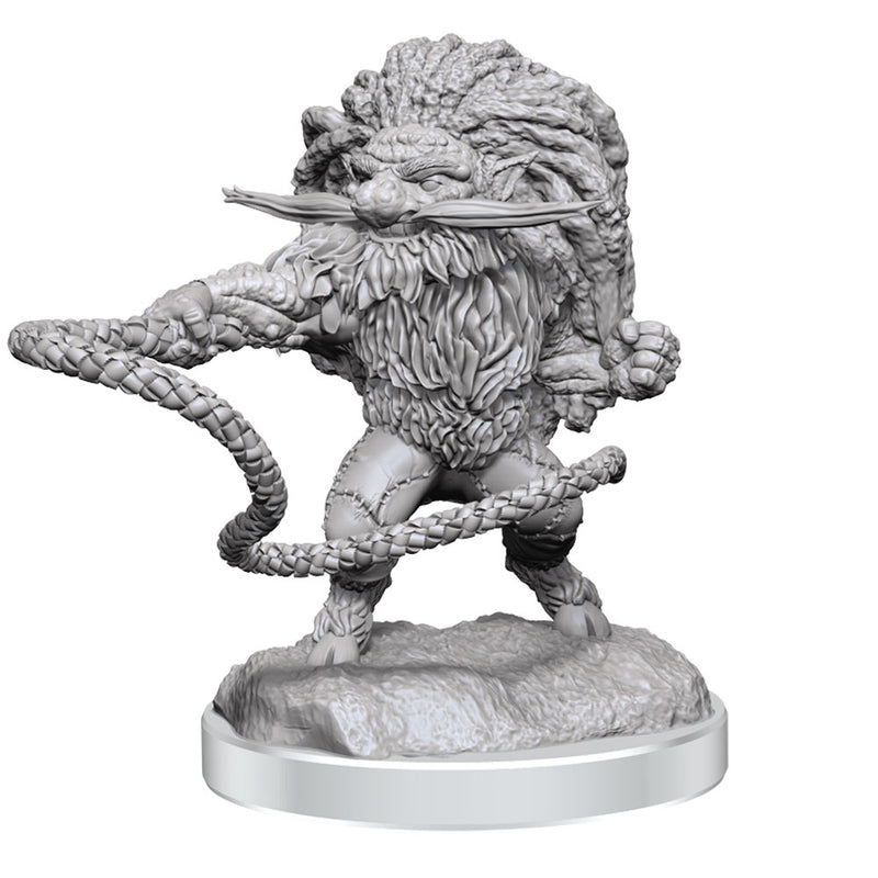 D & D Nolzurs prachtige ongeverfde miniatuur