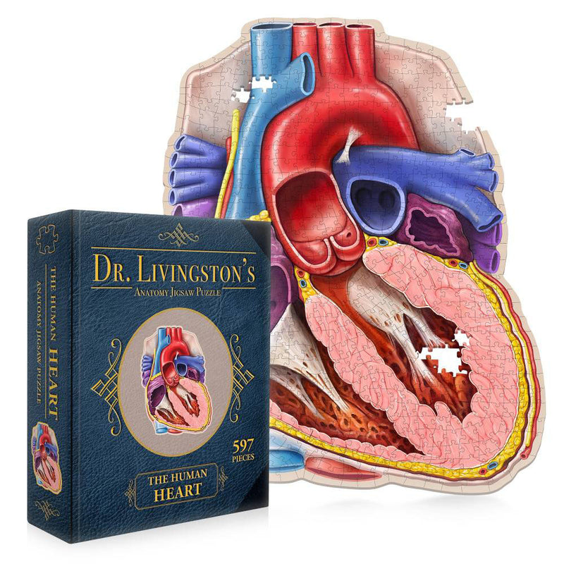 Dr. Livingstons Anatomie -Puzzle -Puzzle