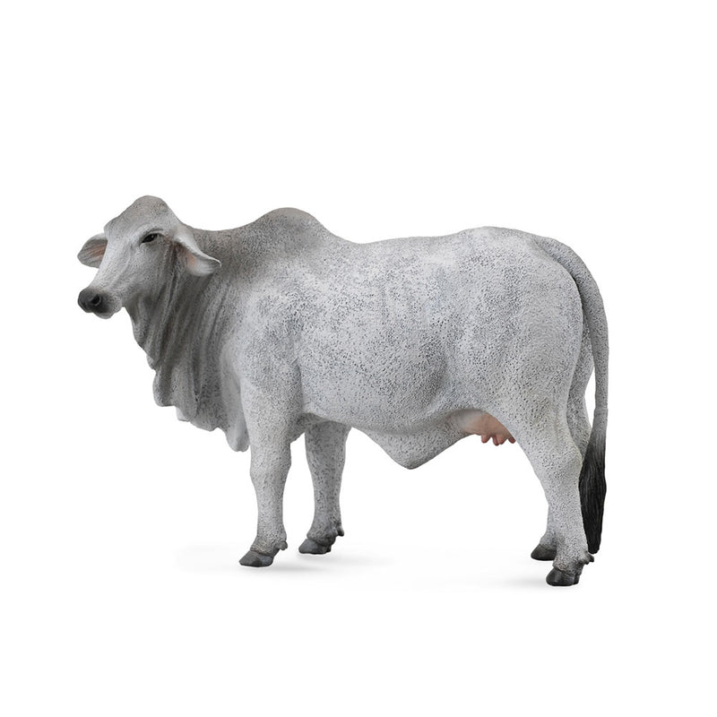 Collecta Brahman Cow Figuur (groot)