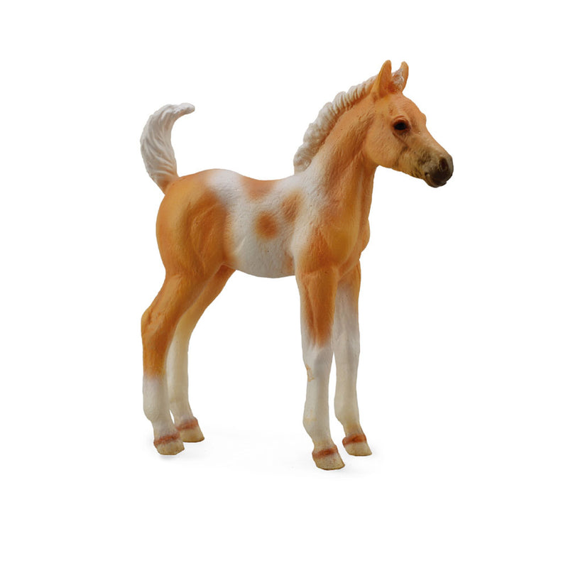  CollectA Pinto Fohlen Palomino Figur (mittel)