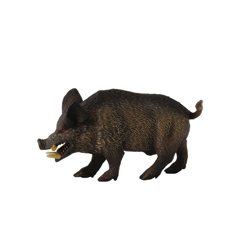 Collecta Wild Pig Figure (milieu)