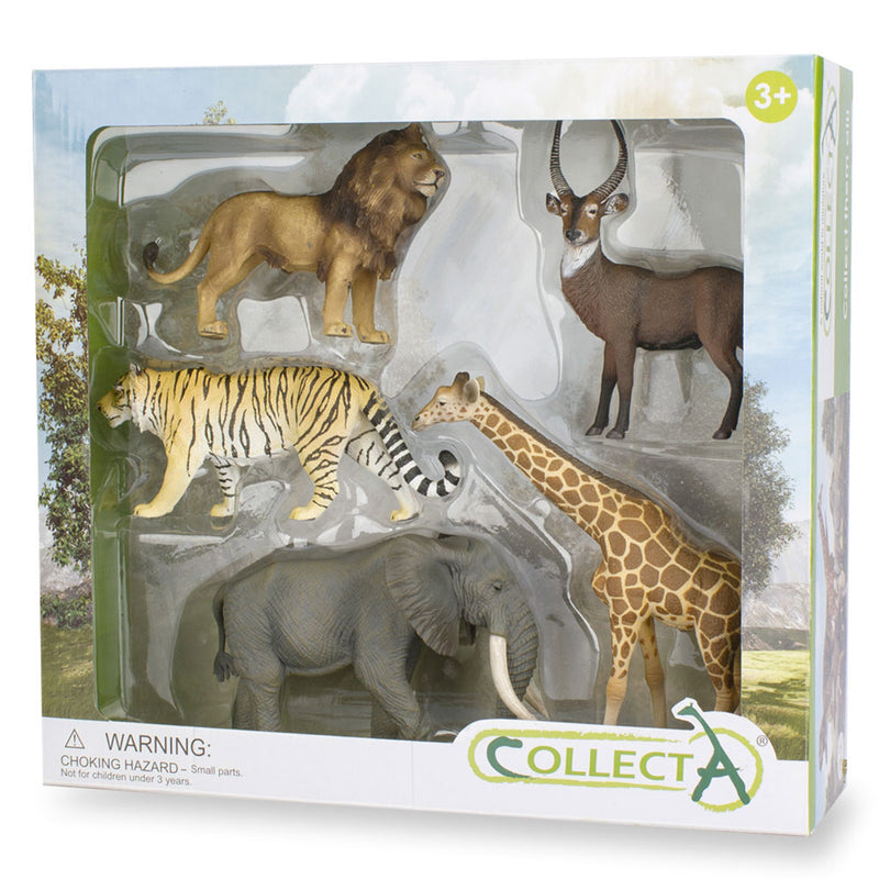 Collecta Wild Life 5 pièces