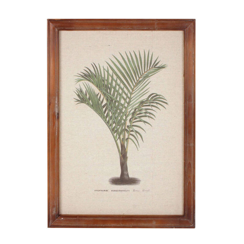 Ingelijste vintage palmwandkunst (38x52x1.8cm)