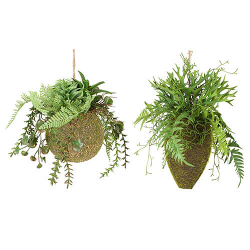 Moana Kokedama Mixed Hanging