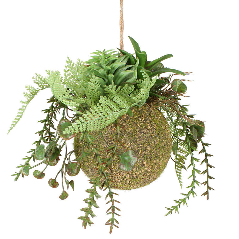 Moana Kokedama Suspension Mixte