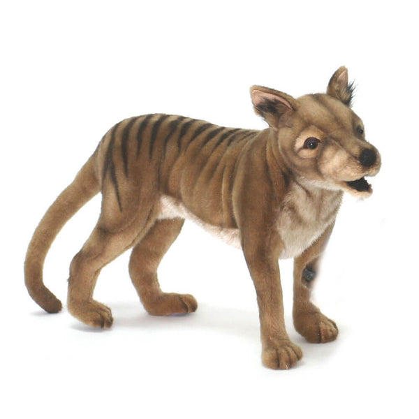 Hansa Tasmanian Tiger