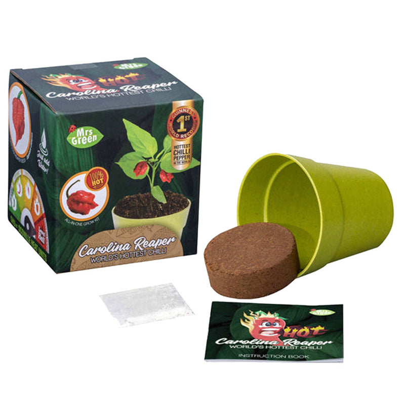 Kit de plantes de jardin Mme Green Whimsy