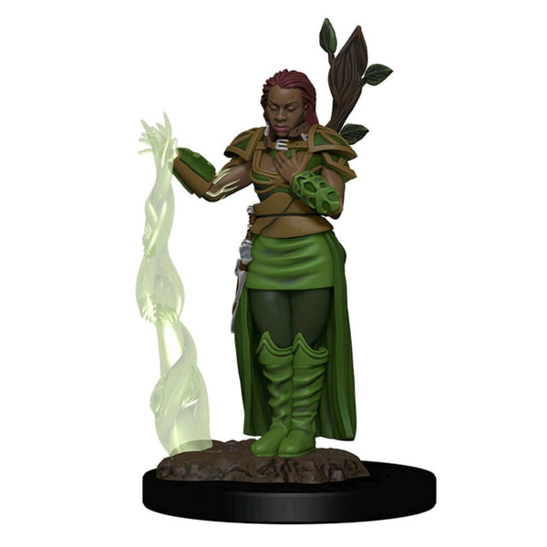 Dungeons & Dragons Premium Human Female Druid