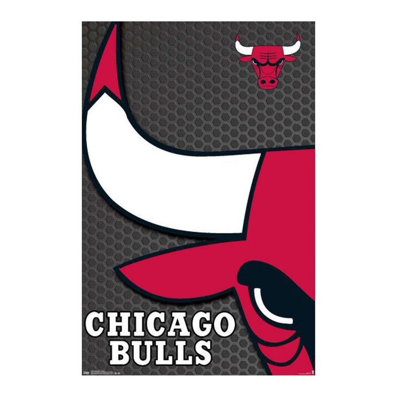 Affiche des Bulls de Chicago de la NBA