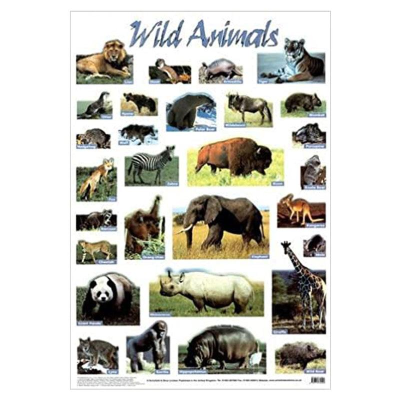 Animals Wild Poster