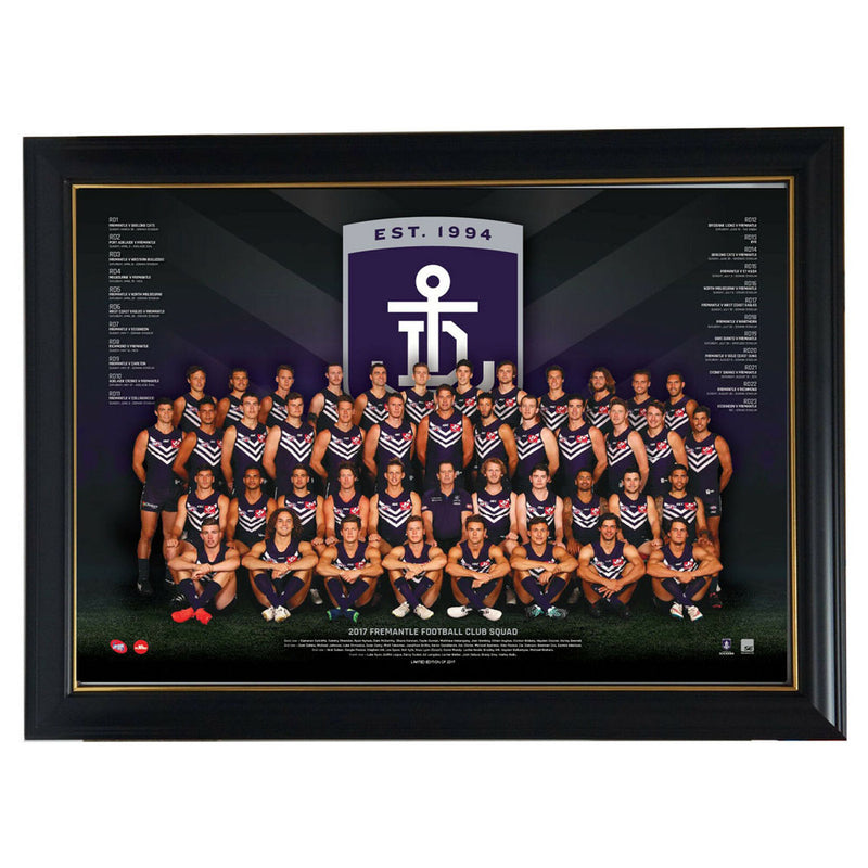 AFL 2017 Teamposter