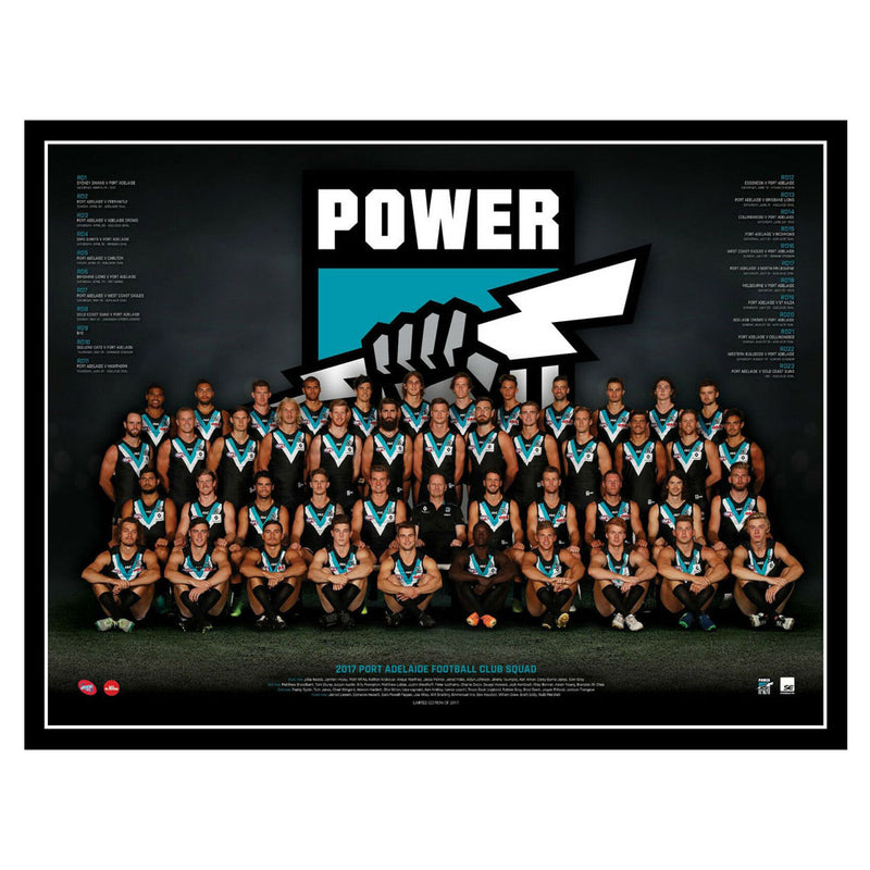 AFL 2017 Team Poster